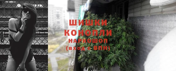 spice Алзамай
